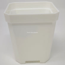 Load image into Gallery viewer, 4&quot; Plastic Pot (5 colours)
