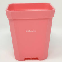 Load image into Gallery viewer, 4&quot; Plastic Pot (5 colours)
