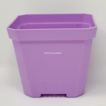 Load image into Gallery viewer, 6&quot; Plastic Pot (4 colours)
