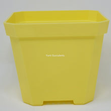 Load image into Gallery viewer, 6&quot; Plastic Pot (4 colours)
